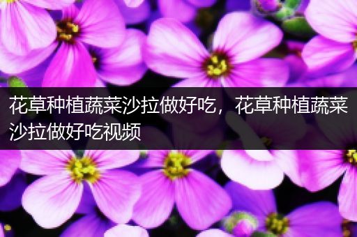 花草种植蔬菜沙拉做好吃，花草种植蔬菜沙拉做好吃视频