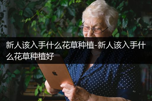 新人该入手什么花草种植-新人该入手什么花草种植好