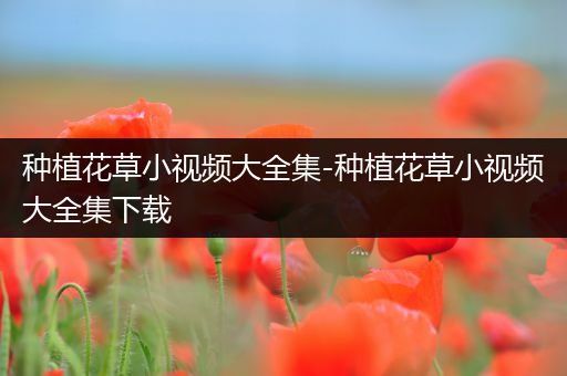 种植花草小视频大全集-种植花草小视频大全集下载