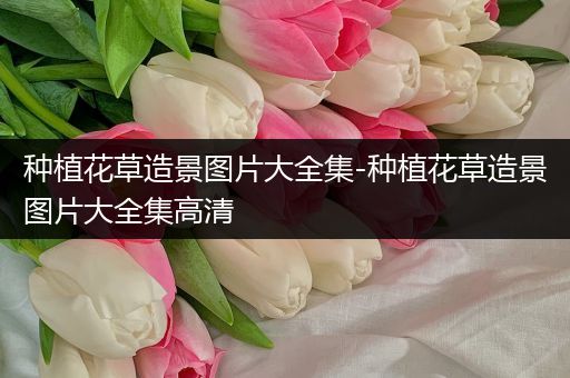 种植花草造景图片大全集-种植花草造景图片大全集高清