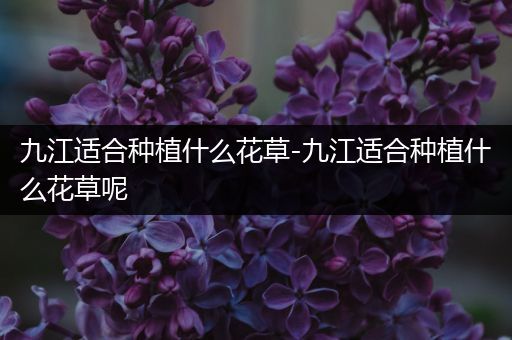 九江适合种植什么花草-九江适合种植什么花草呢