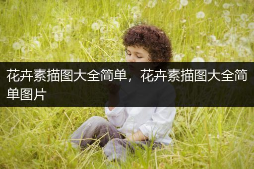 花卉素描图大全简单，花卉素描图大全简单图片