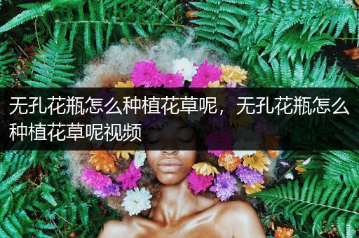 无孔花瓶怎么种植花草呢，无孔花瓶怎么种植花草呢视频