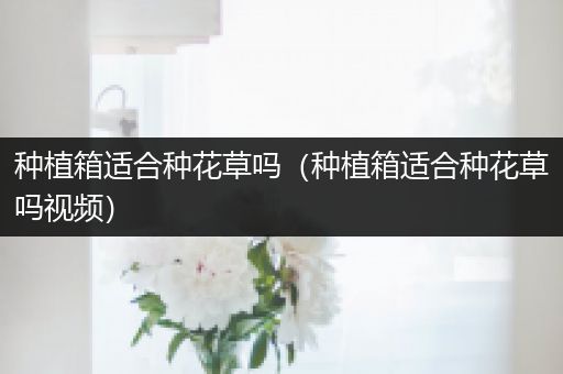 种植箱适合种花草吗（种植箱适合种花草吗视频）