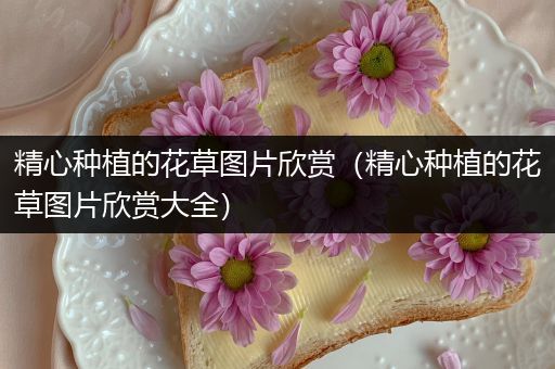 精心种植的花草图片欣赏（精心种植的花草图片欣赏大全）