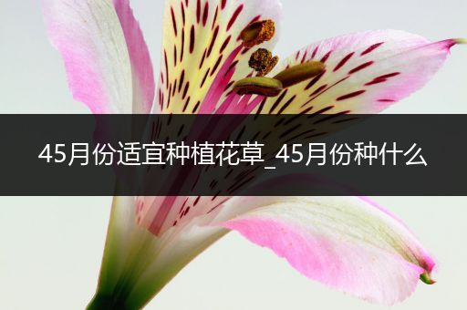 45月份适宜种植花草_45月份种什么