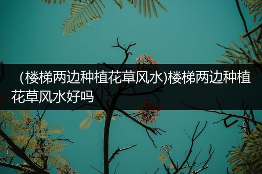 （楼梯两边种植花草风水)楼梯两边种植花草风水好吗