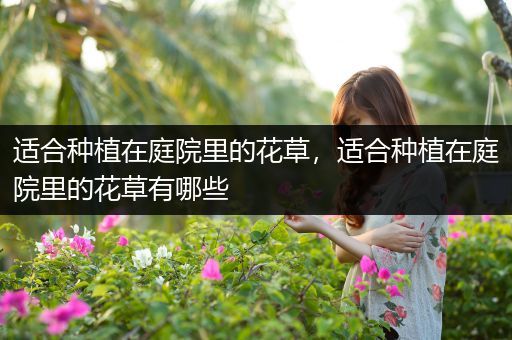 适合种植在庭院里的花草，适合种植在庭院里的花草有哪些