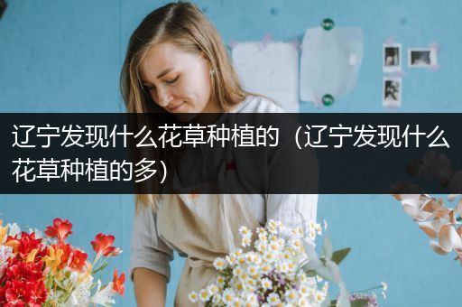 辽宁发现什么花草种植的（辽宁发现什么花草种植的多）