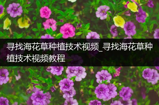 寻找海花草种植技术视频_寻找海花草种植技术视频教程
