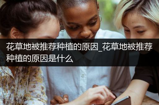 花草地被推荐种植的原因_花草地被推荐种植的原因是什么