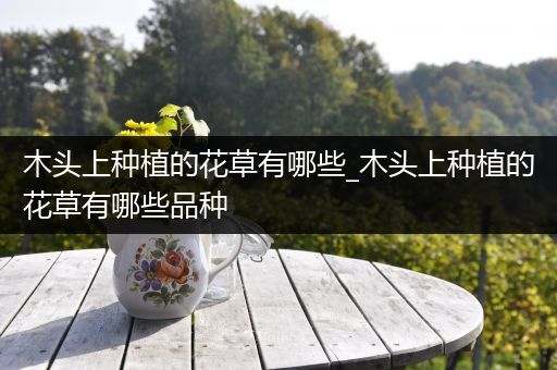 木头上种植的花草有哪些_木头上种植的花草有哪些品种