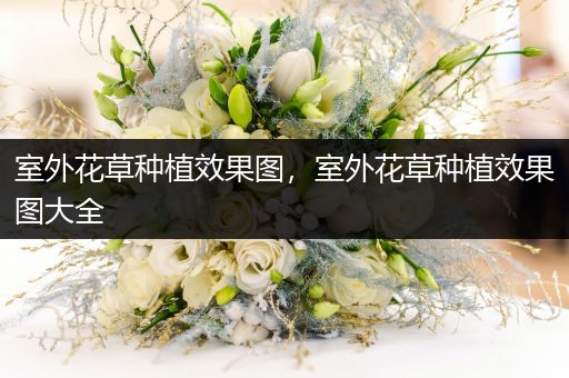 室外花草种植效果图，室外花草种植效果图大全