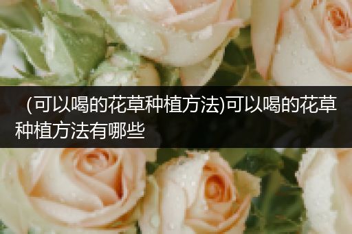 （可以喝的花草种植方法)可以喝的花草种植方法有哪些