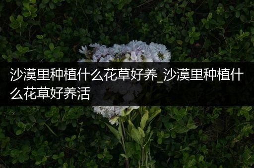 沙漠里种植什么花草好养_沙漠里种植什么花草好养活