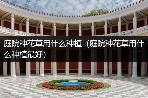 庭院种花草用什么种植（庭院种花草用什么种植最好）