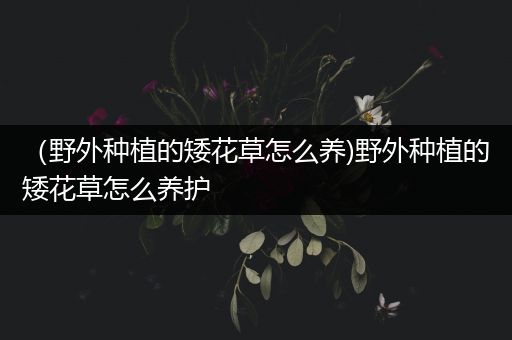 （野外种植的矮花草怎么养)野外种植的矮花草怎么养护