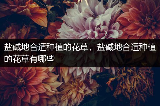 盐碱地合适种植的花草，盐碱地合适种植的花草有哪些