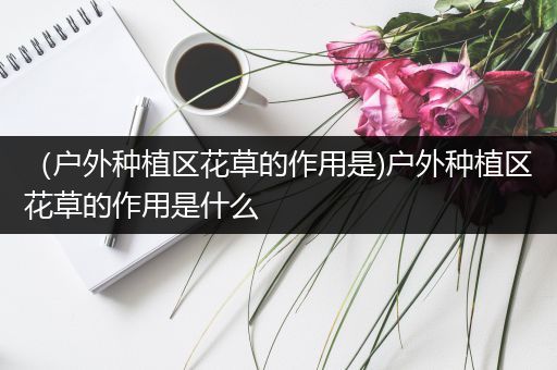 （户外种植区花草的作用是)户外种植区花草的作用是什么