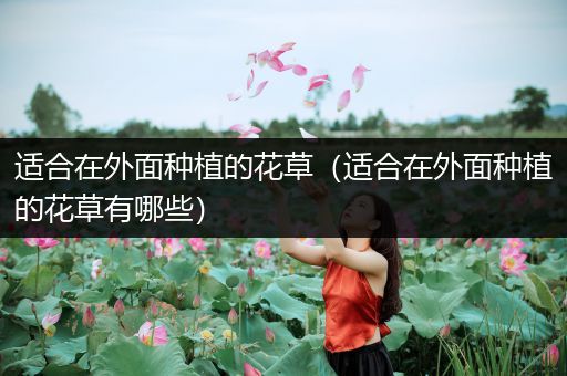 适合在外面种植的花草（适合在外面种植的花草有哪些）