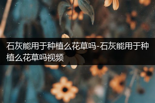 石灰能用于种植么花草吗-石灰能用于种植么花草吗视频