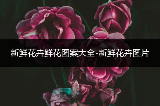 新鲜花卉鲜花图案大全-新鲜花卉图片