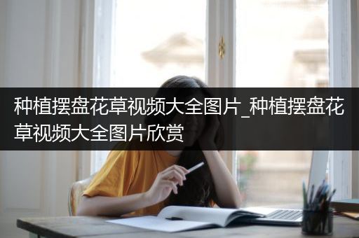 种植摆盘花草视频大全图片_种植摆盘花草视频大全图片欣赏