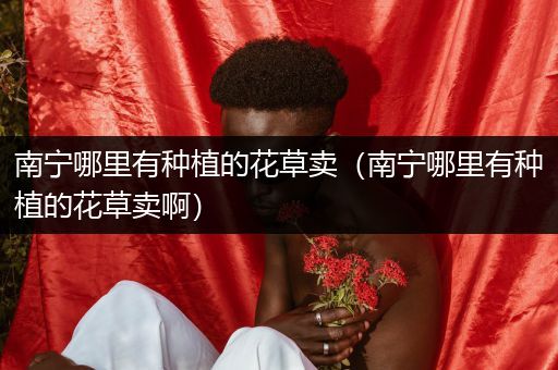 南宁哪里有种植的花草卖（南宁哪里有种植的花草卖啊）