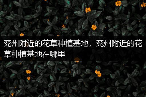 兖州附近的花草种植基地，兖州附近的花草种植基地在哪里