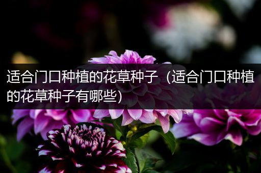 适合门口种植的花草种子（适合门口种植的花草种子有哪些）