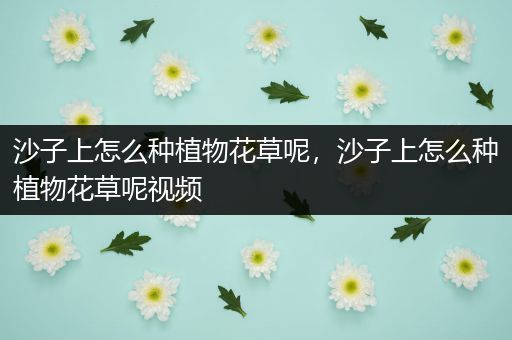 沙子上怎么种植物花草呢，沙子上怎么种植物花草呢视频