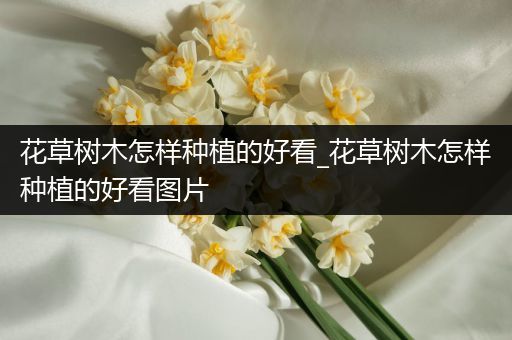 花草树木怎样种植的好看_花草树木怎样种植的好看图片