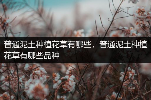 普通泥土种植花草有哪些，普通泥土种植花草有哪些品种