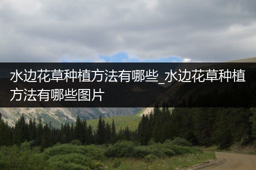 水边花草种植方法有哪些_水边花草种植方法有哪些图片