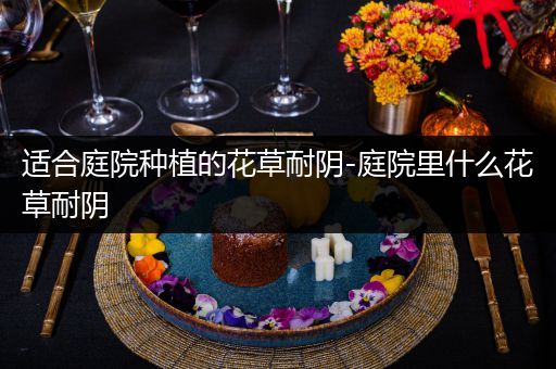 适合庭院种植的花草耐阴-庭院里什么花草耐阴