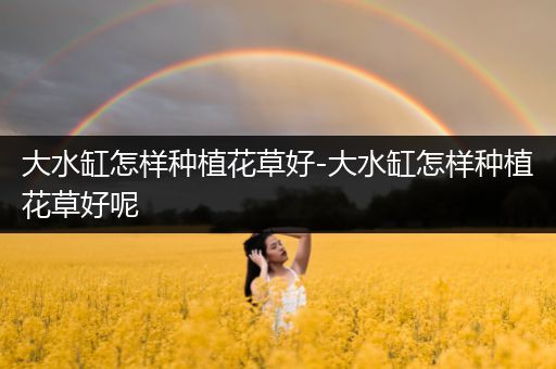 大水缸怎样种植花草好-大水缸怎样种植花草好呢