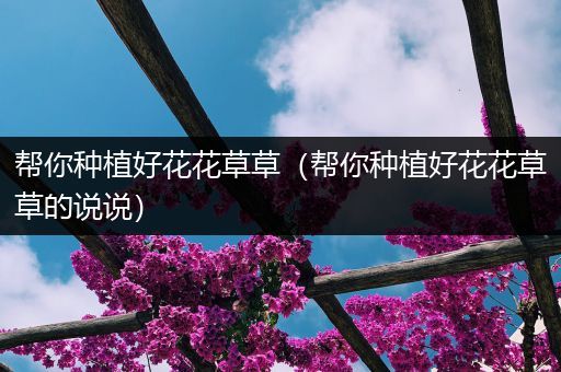 帮你种植好花花草草（帮你种植好花花草草的说说）