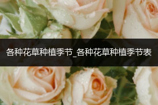 各种花草种植季节_各种花草种植季节表