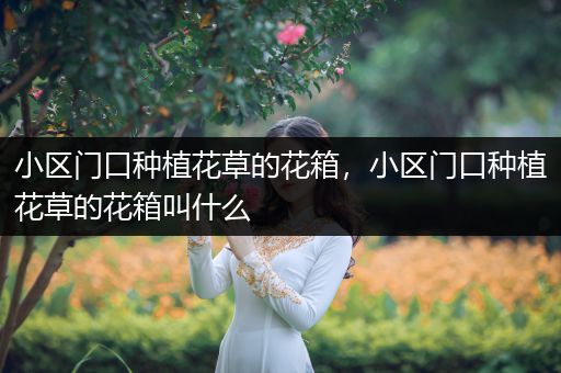 小区门口种植花草的花箱，小区门口种植花草的花箱叫什么