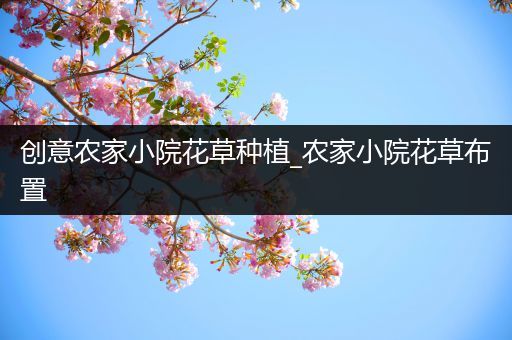 创意农家小院花草种植_农家小院花草布置