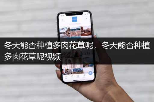 冬天能否种植多肉花草呢，冬天能否种植多肉花草呢视频