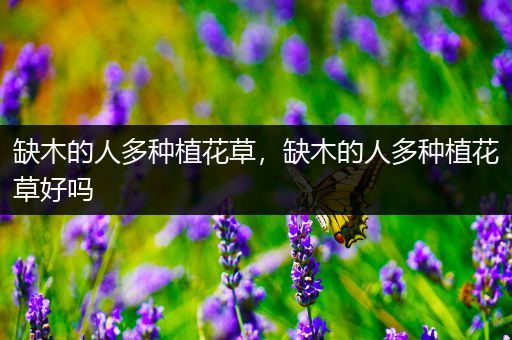 缺木的人多种植花草，缺木的人多种植花草好吗