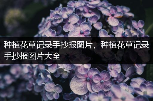 种植花草记录手抄报图片，种植花草记录手抄报图片大全