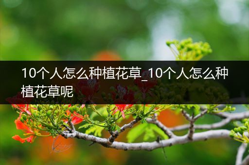 10个人怎么种植花草_10个人怎么种植花草呢