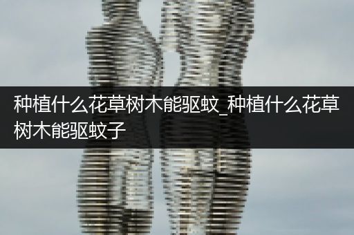 种植什么花草树木能驱蚊_种植什么花草树木能驱蚊子