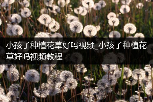 小孩子种植花草好吗视频_小孩子种植花草好吗视频教程