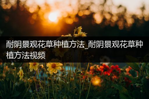 耐阴景观花草种植方法_耐阴景观花草种植方法视频