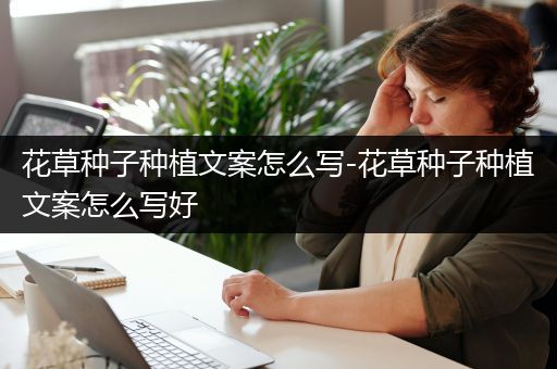 花草种子种植文案怎么写-花草种子种植文案怎么写好