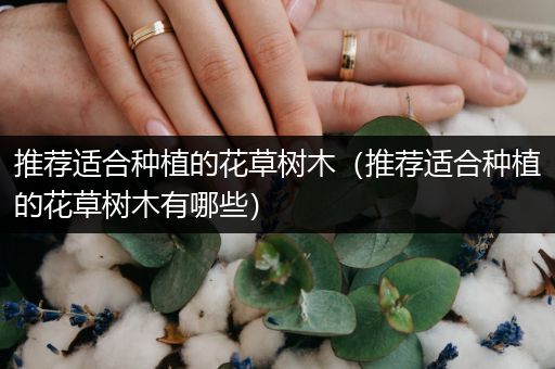 推荐适合种植的花草树木（推荐适合种植的花草树木有哪些）