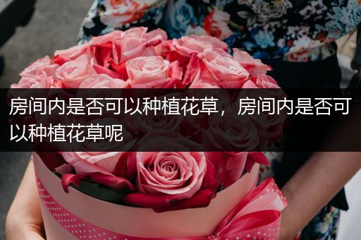 房间内是否可以种植花草，房间内是否可以种植花草呢